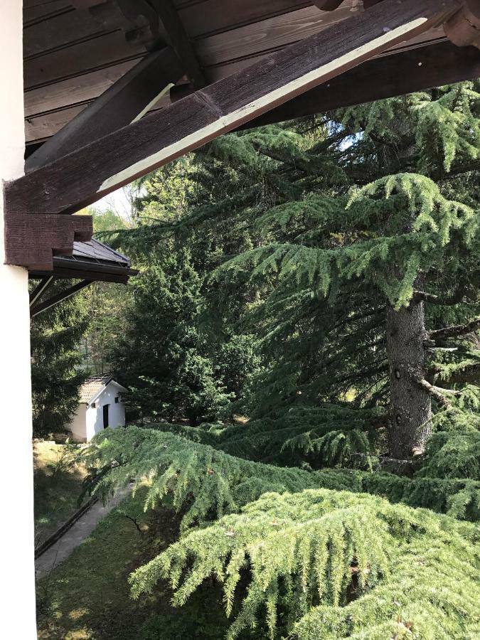 Villa Emilia Craveggia Екстер'єр фото